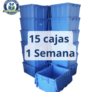 📦 Paquete de 15 cajas por 1 semana