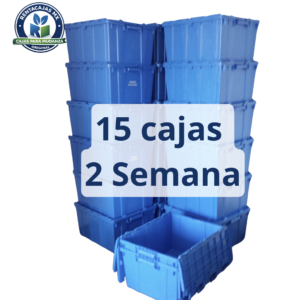 📦 paquete de 15 cajas por 2 semana