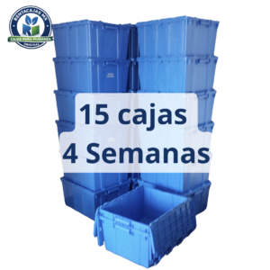 📦 paquete de 15 cajas por 4 semanas